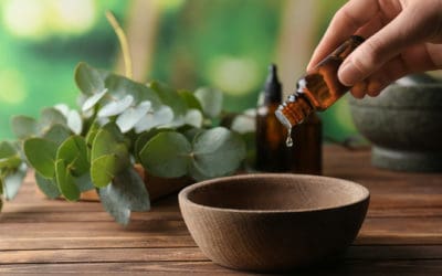 Dogs and Essential Oils: The Hidden Dangers