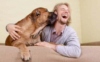 November is Adopt a Senior Pet Month