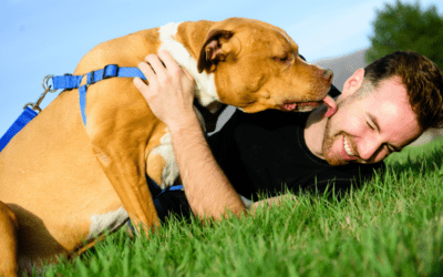 Tips for Happy, Healthy Dogs