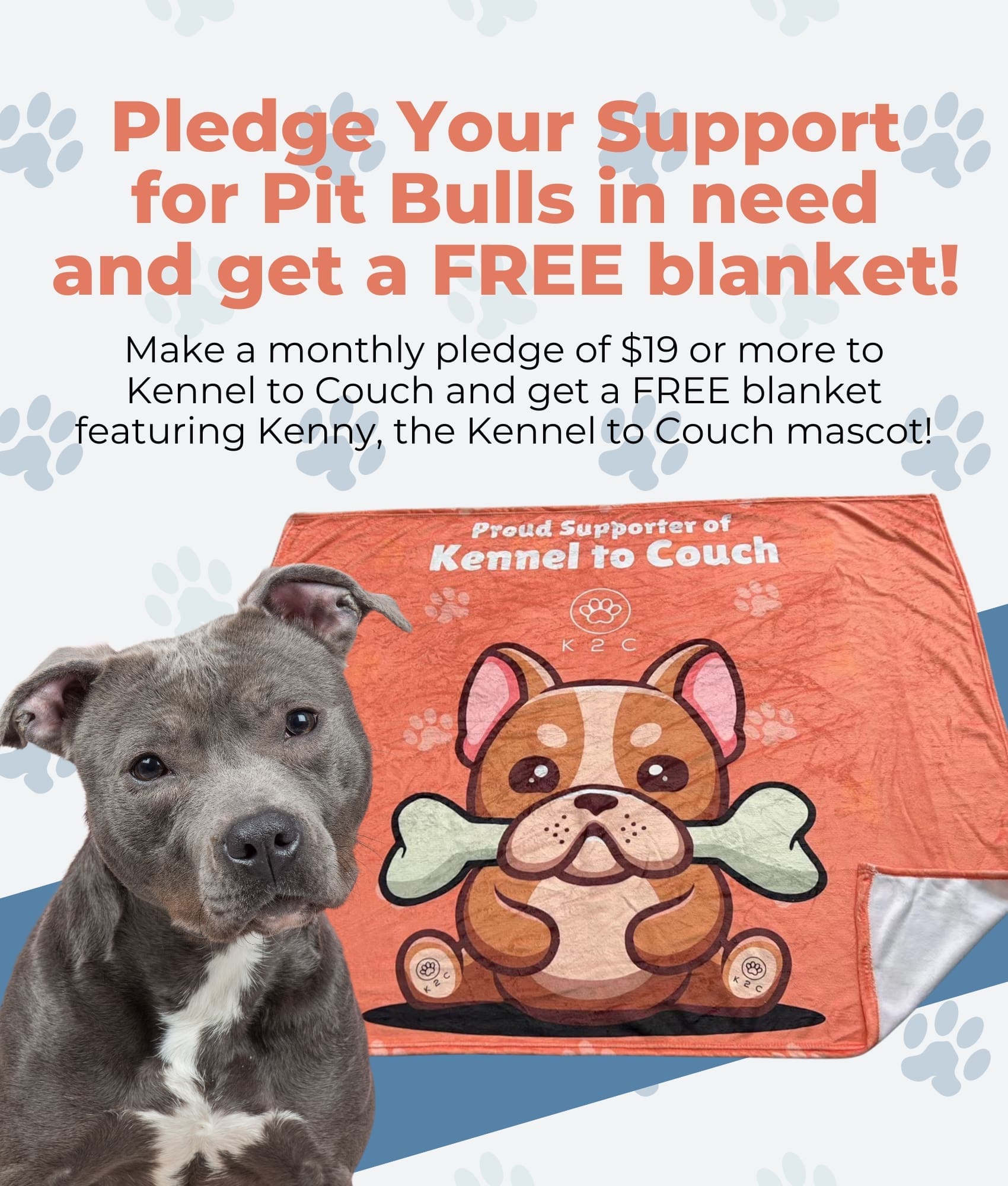 Support Dog Rescues