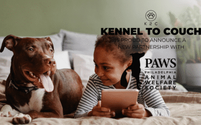 K2C Partners with Philadelphia Animal Welfare Society to Help Pit Bulls Find Their Forever Homes