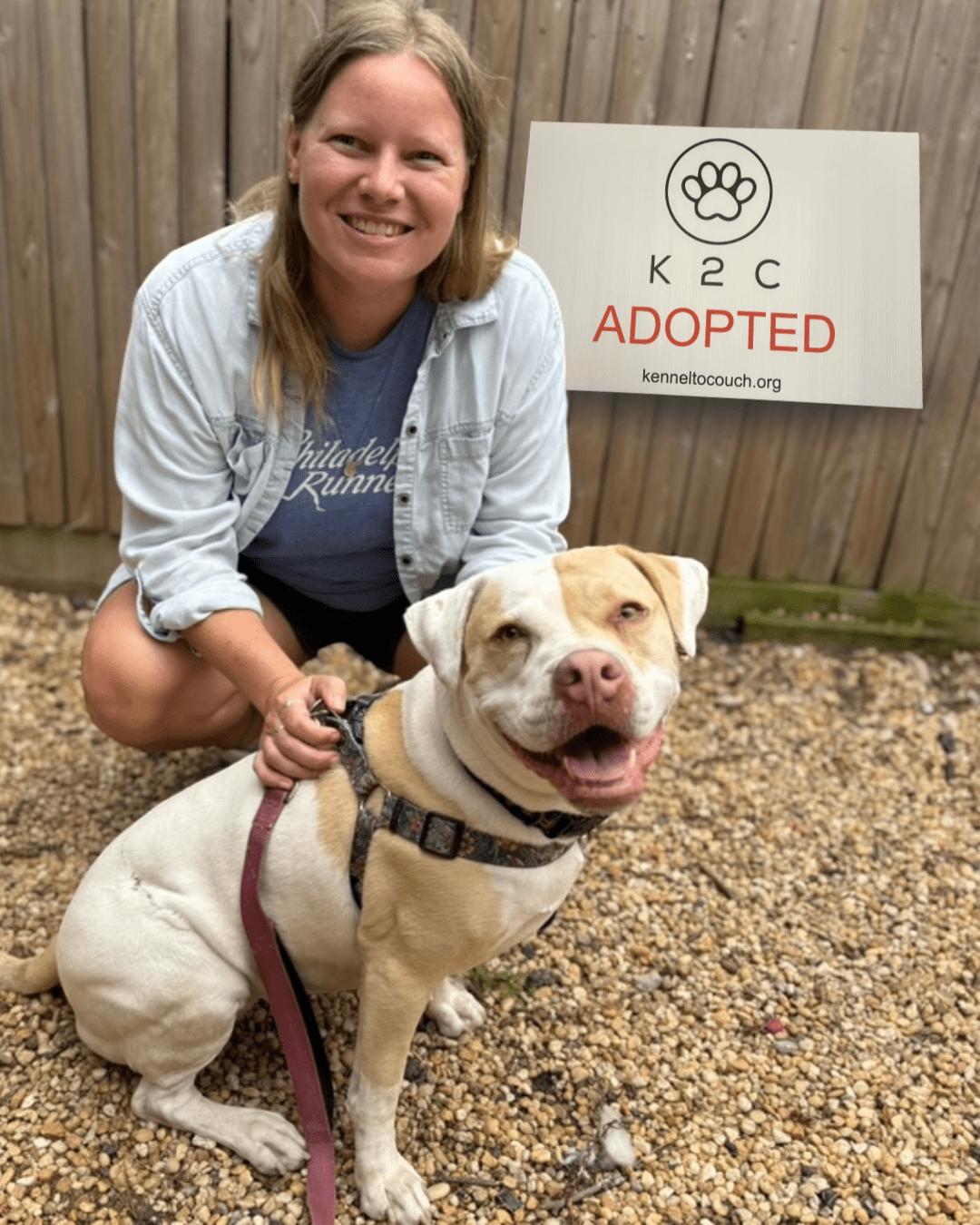 Kona ADOPTED (1)