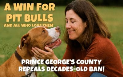 Prince George’s County Lifts 30-Year Pit Bull Ban — A Turning Point for Dogs and the Families Who Love Them