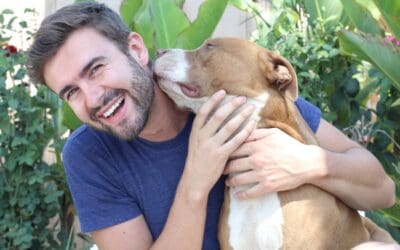 From the Kennel to the Couch: What the First 30 Days After Adopting a Rescue Dog Really Look Like