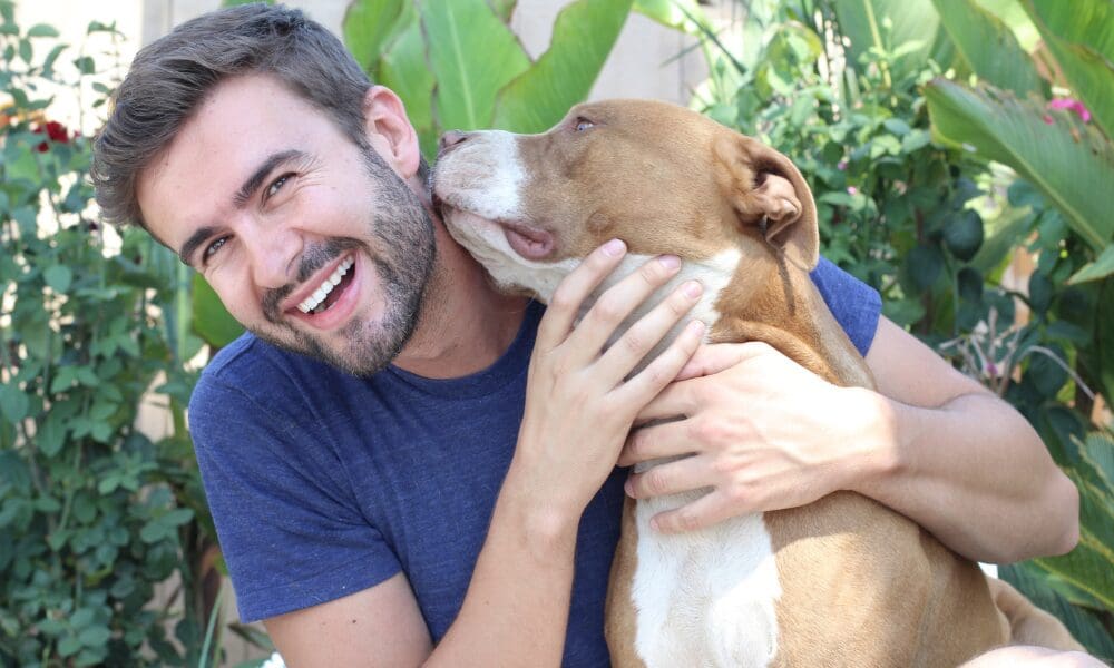 From the Kennel to the Couch: What the First 30 Days After Adopting a Rescue Dog Really Look Like