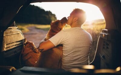 Traveling With Your Dog: Tips for Stress-Free Adventures