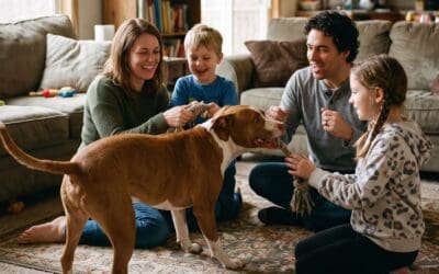 Nobody Can Agree on What a Pit Bull Actually Is